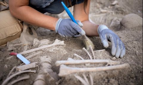 Открити в България човешки останки на 45 хил. години са част от неизвестна досега миграция в Европа - 1