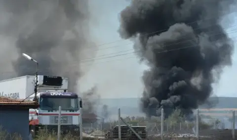 Пожар бушува край завод между Хасково и Димитровград ВИДЕО - 1