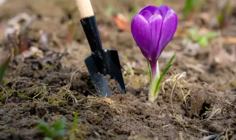 Април в градината: най-важните задачи за силен старт на сезона - 1