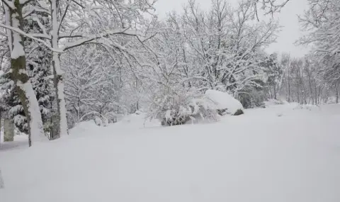 Времето днес, прогноза за понеделник, 2 февруари: Студ и снеговалежи в цялата страна