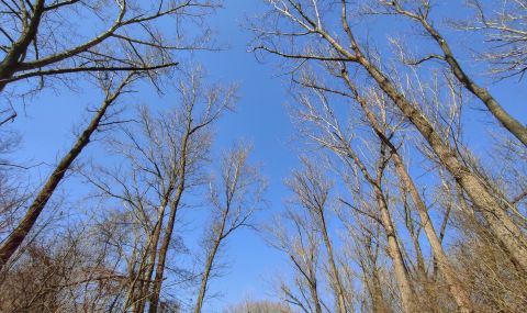 Слънчев четвъртък, затопля се - 1