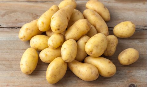 Горещините свиват реколтата от картофи в Европа - 1