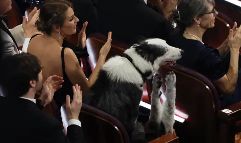  "Пляскащо" куче се оказа голямата звезда на Оскарите (ВИДЕО+СНИМКИ) - 1