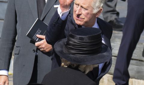 Крал Чарлз Трети ще предотврати възможността да бъде заместван от принцовете Андрю и Хари  - 1