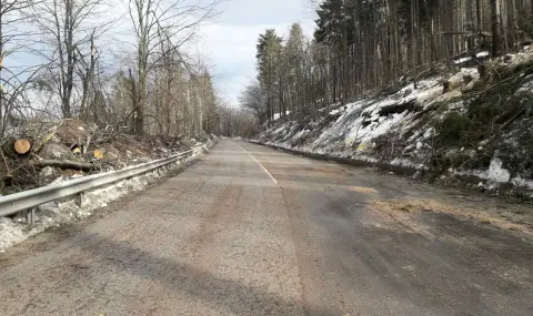 "Петрохан" вече е отворен - 1