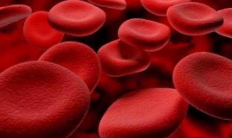 Недостиг на тестове за изследване на кръвта - 1