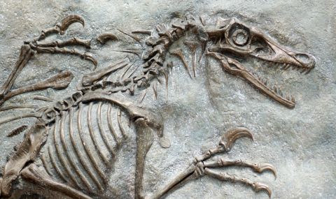 Историята на рака датира още от времето на динозаврите - 1