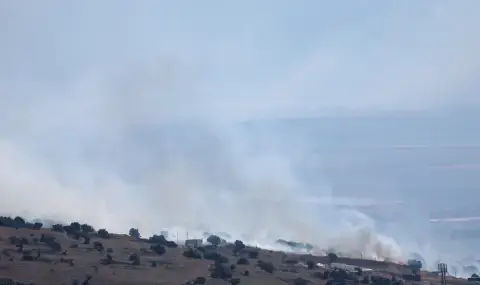 Explosion at a port in Germany  - 1