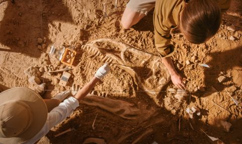 Учени откриха динозавър на 150 млн. години в китайската провинция Фуцзян (СНИМКА) - 1
