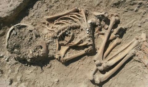 Детски скелет с натрошен череп е открит в Турция (СНИМКИ) - 1