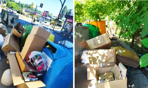 Над 6000 столичани: Системата за разделно събиране на отпадъците е неефективна - 1