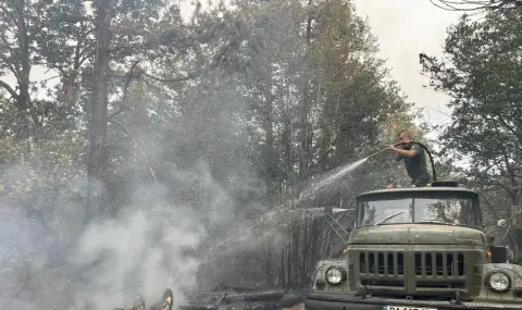 Потушен е пожарът при военния полигон "Корен" - 1