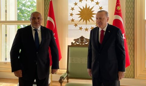 Борисов при Ердоган: защо беше тази изненадваща среща? - 1