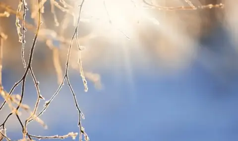 Времето днес, прогноза за сряда, 14 януари: Почти тихо, значителна облачност в централните и източни райони