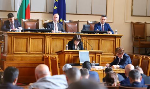 Росица Велкова: Данните за бюджета изглеждали на пръв поглед положителни - 1