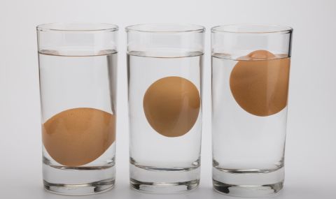 Бърз тест с чаша вода показва дали яйцата са пресни - 1
