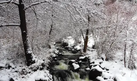 Времето днес, прогноза за понеделник, 19 януари: Студът настъпва още