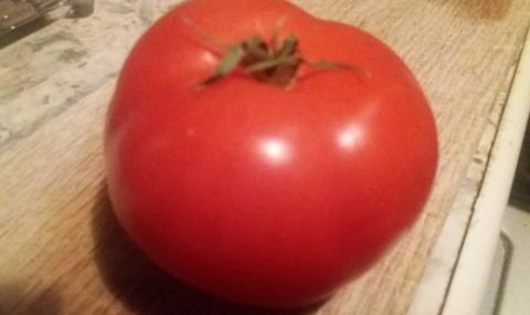 Историята на Стамат - доматът, който от 4 месеца стои в хладилник и още е свеж - 1