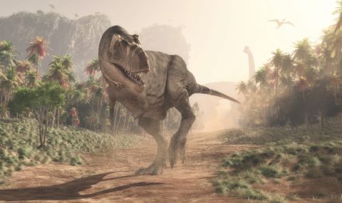 Ново проучване: Динозаврите са били в разцвета на силите си, когато са унищожени от космически сблъсък - 1