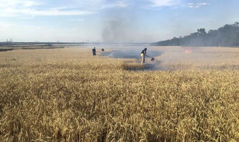 Кражби за милиони: как Русия плячкосва житото на Украйна - 1
