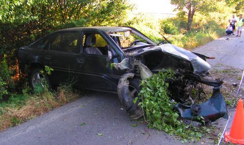 Шофьор се удари в крайпътно дърво и загина - 1