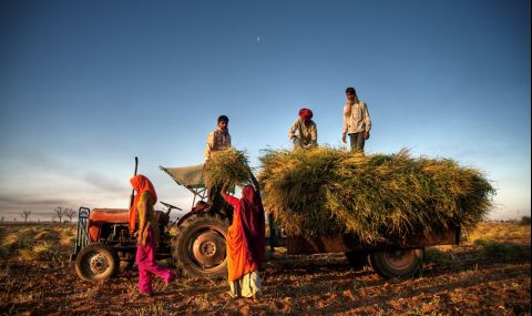 Хиляди слагат край на живота си: защо в Индия се самоубиват толкова много работници в земеделието? - 1
