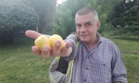 Доматът, който може да издържи 7 месеца у дома… Роман Рачков пред ФАКТИ