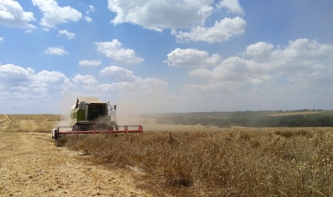 По-високи добиви и по-качествена пшеница в Добруджа - 1