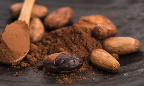 Натуралното какао е супер храна за мозъка - 1