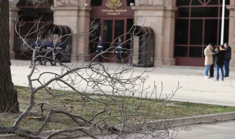 Екипи на Столична община отстраняват щети от силния вятър - 1