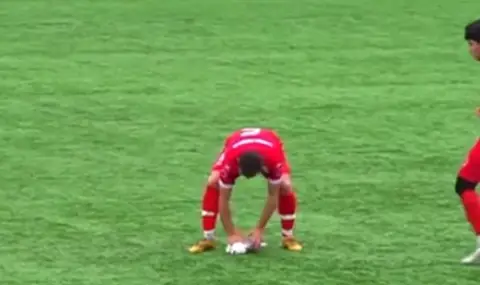 Футболен мач в Истанбул се превърна в сцена на героизъм: играчи спасиха чайка, ударена от топка - ВИДЕО - 1