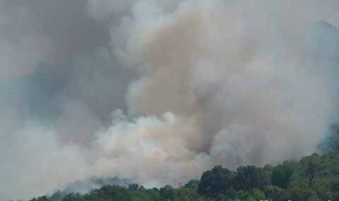 Пожарът в Хасковско е локализиран - 1