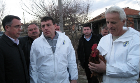 Обезщетиха стопаните на умъртвените птици от село Звиница - 1