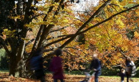 Слънчева неделя - 1