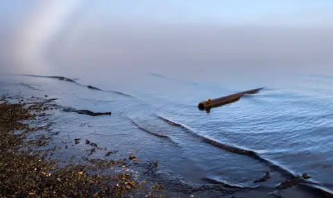 Япония иска от САЩ да внася петрол от Аляска - 1