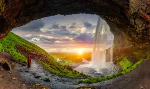 Комари в Исландия и още: как климатичните промени разболяват - 1