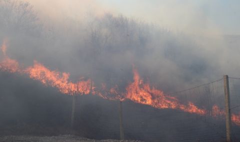 Голям пожар край пловдивското село Марково - 1
