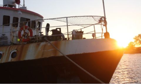 Три български кораба са задържани в Румъния за бракониерство на акули - 1