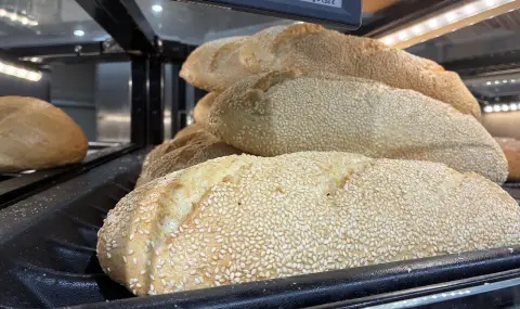 Скъпият дизел обрича хлебозаводите в Северна България на фалит - 1