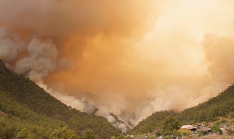 Властите смятат, че пожарите на остров Тенерифе са умишлени - 1