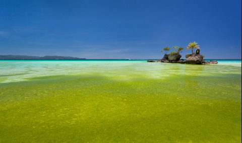 Плажовете във Филипините позеленяха. Вижте защо. - 1