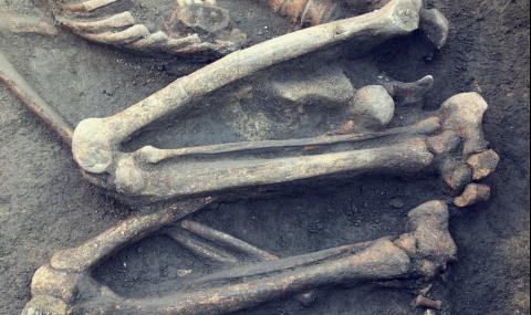 Откриха хиляди човешки кости в дома на известен хирург - 1