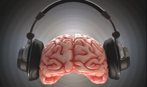 Защо мозъкът ни се радва на музиката, разкри ново проучване - 1