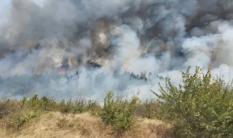 Ликвидиран е пожарът над Царев връх в Рила