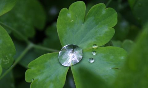 Времето днес, прогноза за понеделник, 17 април: Облачно, ще вали - 1