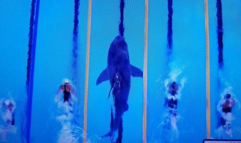Майкъл Фелпс се състезава с акула (ВИДЕО) - 1