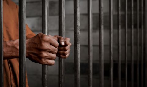 Mъж се опита да избяга от затвор, облечен като овца - 1