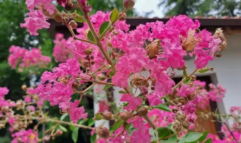 Времето днес, прогноза за неделя, 7 септември: Слънчево, с временни заоблачавания, но почти без валежи - 1