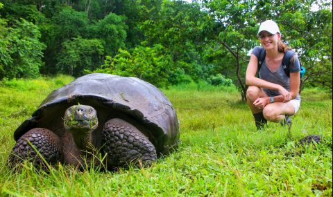Разследват престъпен лов на гигантски костенурки на Галапагоските острови - 1