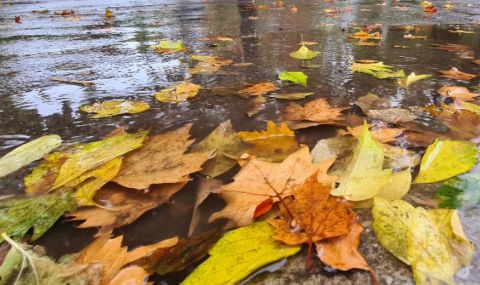 Прониква по-топъл въздух - 1